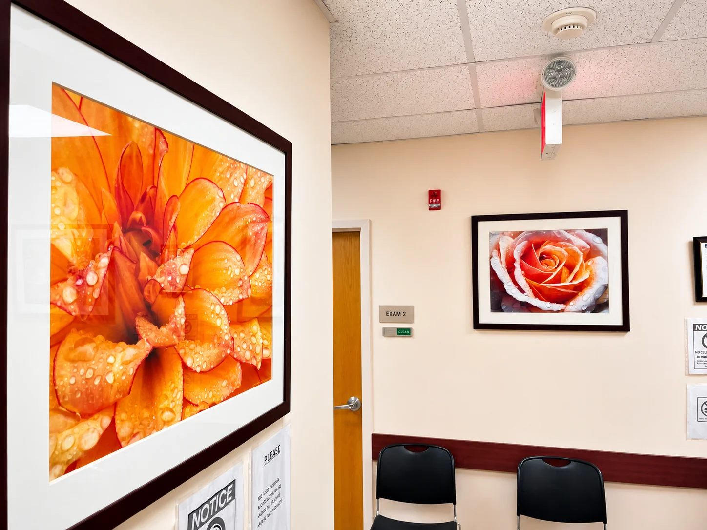 Corridor with framed artwork at Be Well Primary Health Care Center